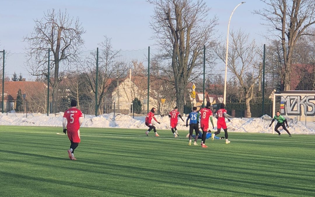 Postrzelali w Leżajsku